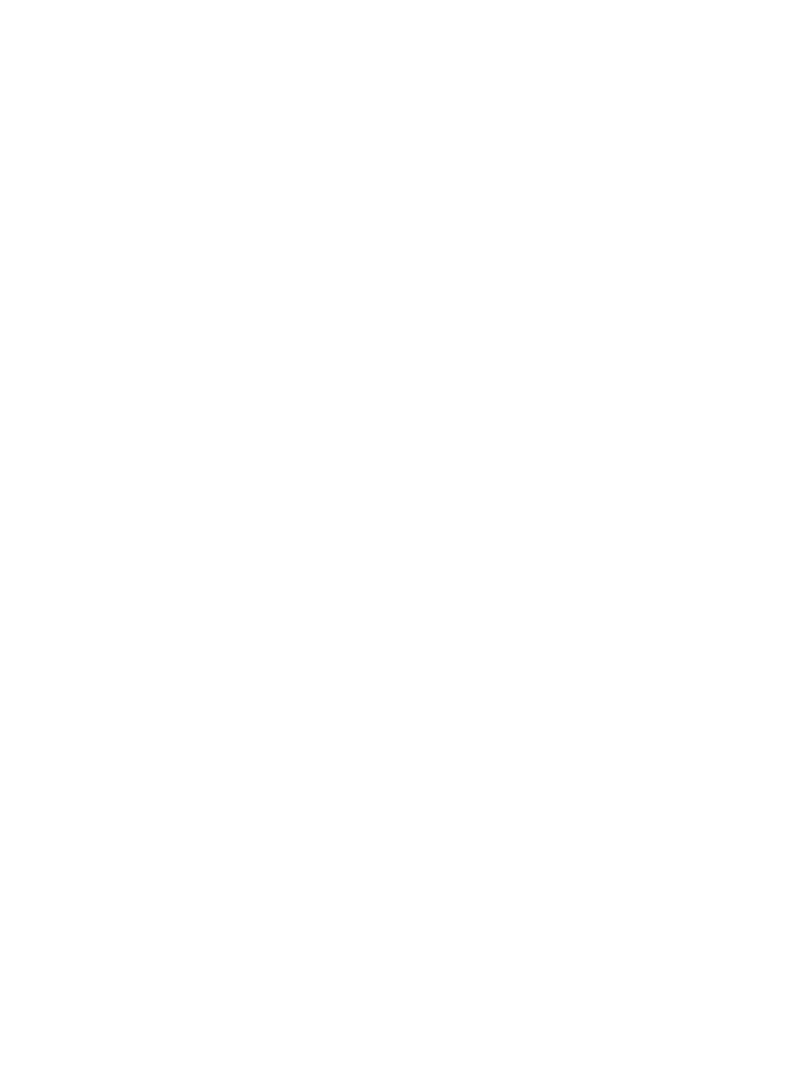 Recettes diabètiques